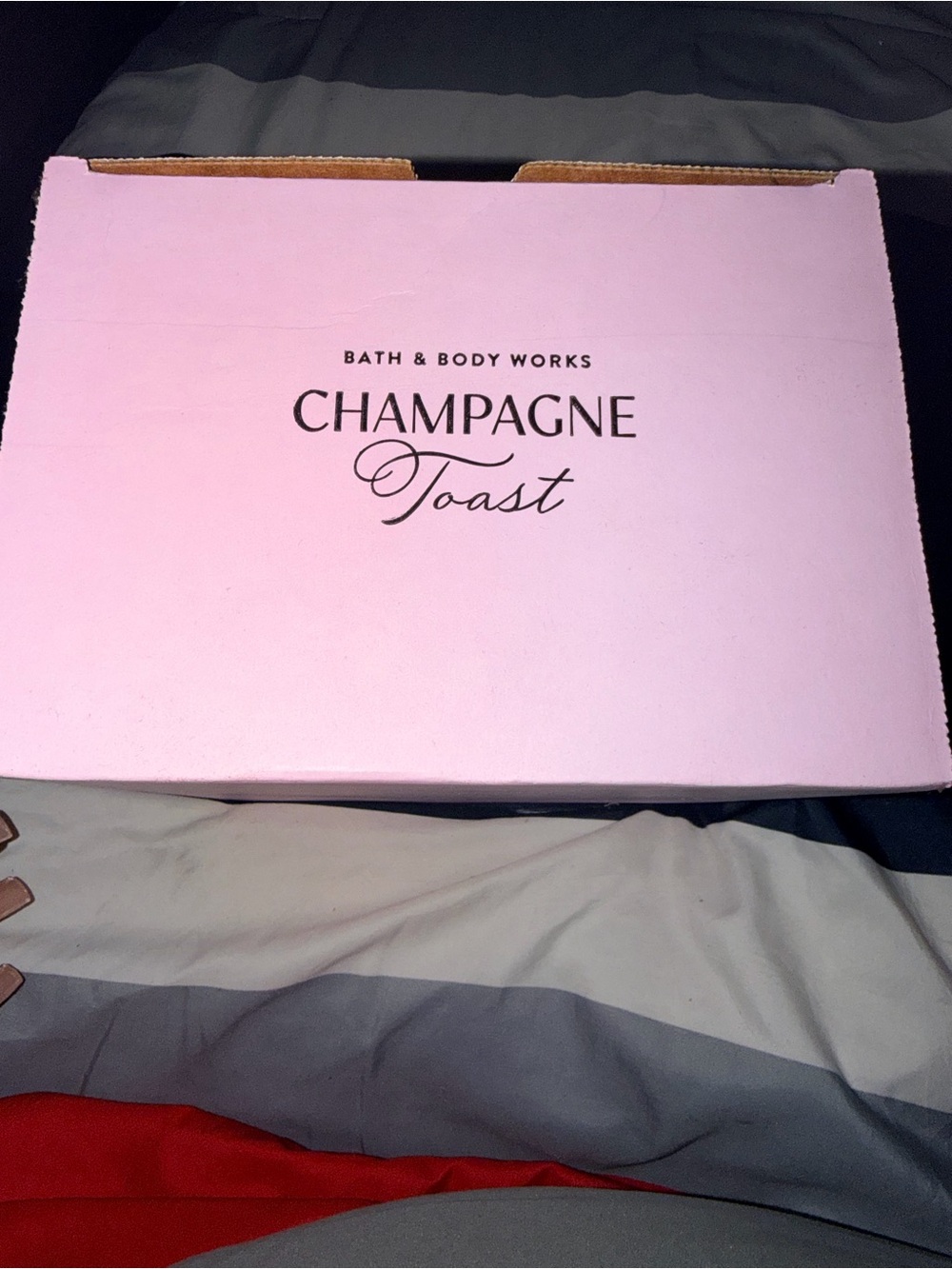Bath & Body Works Champagne Toast Set - Light Pink